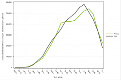 Rates by sex